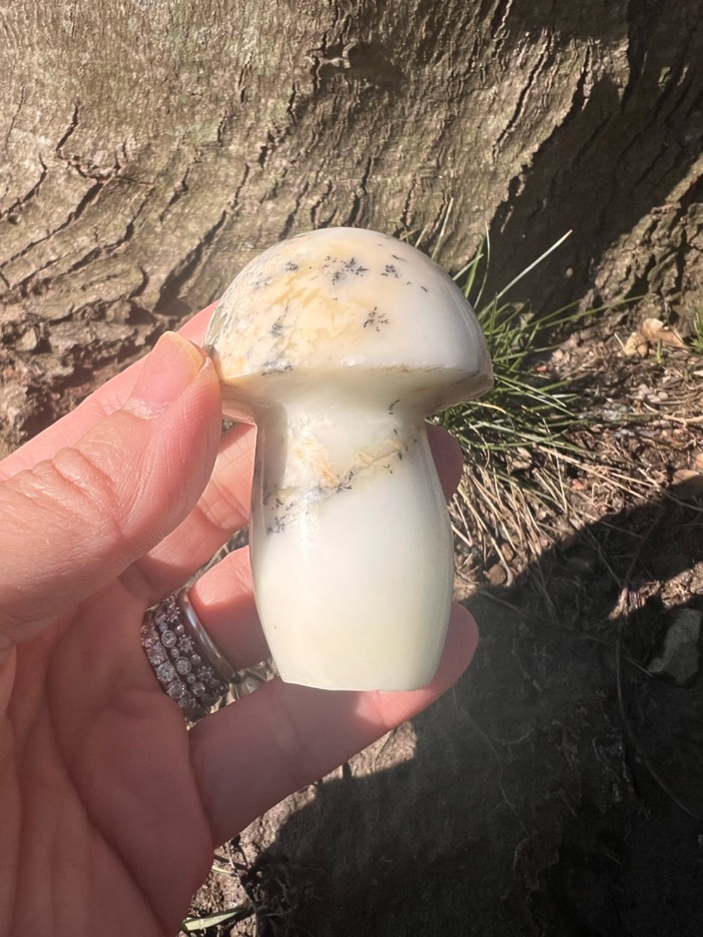 Dendritic (5) Opal mushroom carving | crystal